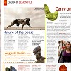 mango juice in flight magazine - october 2008, dylan lewis, sculptures, stellenbosch, exhibition,