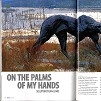 sawubona in flight magazine - january 2009, dylan lewis, press, article, stellenbosch, exhibition, sculptures, bronze,
